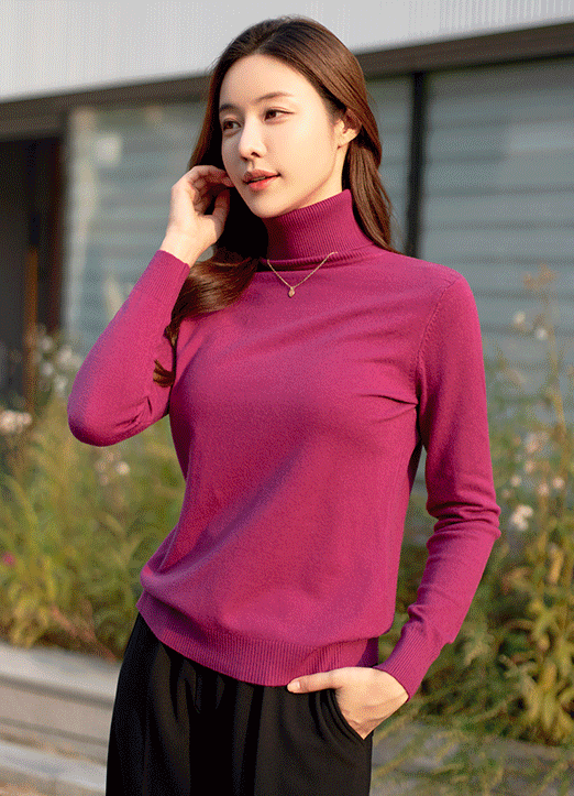 (9 Colors) Everyday Turtleneck Knit Top