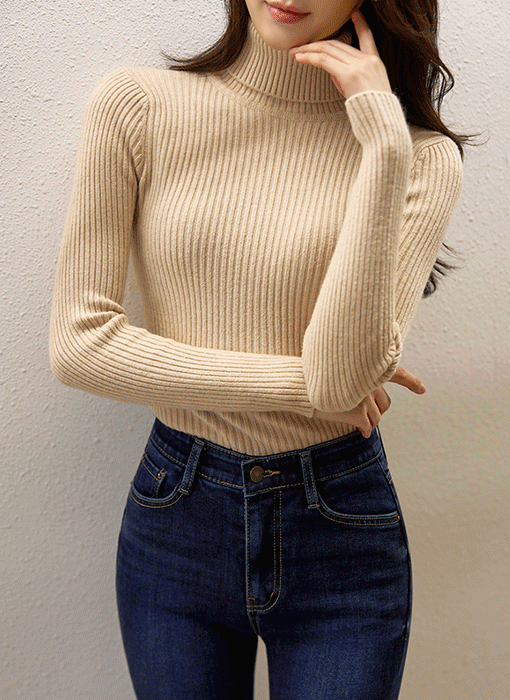 Basic Slim Ribbed Turtleneck Knit Top