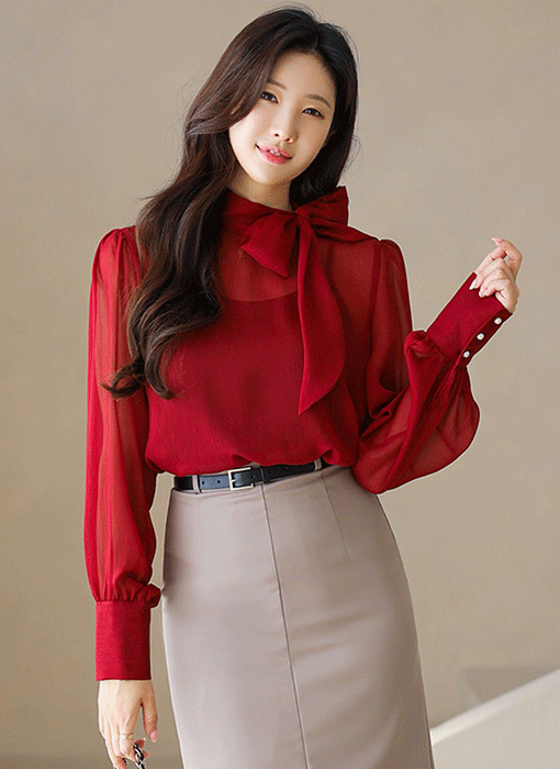 Elegant Tie-Neck Sheer Chiffon Blouse