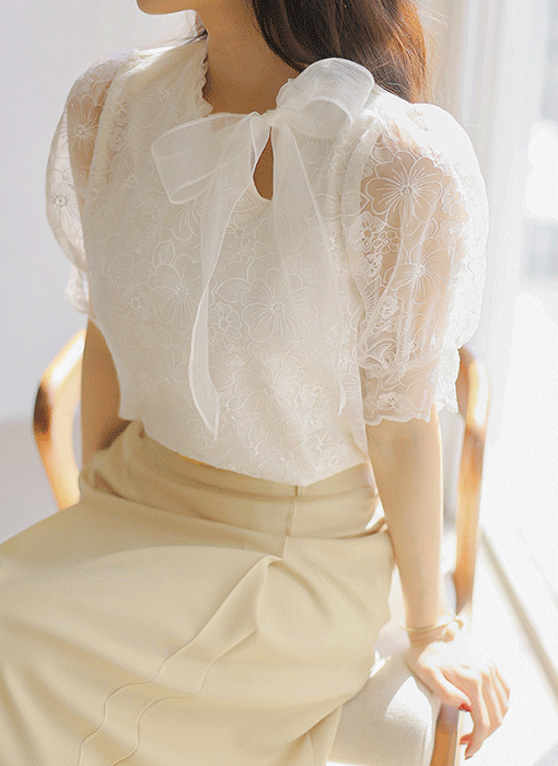 Embroidered Mesh Lace Bow Neck Blouse