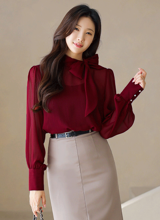 Elegant Tie-Neck Sheer Chiffon Blouse